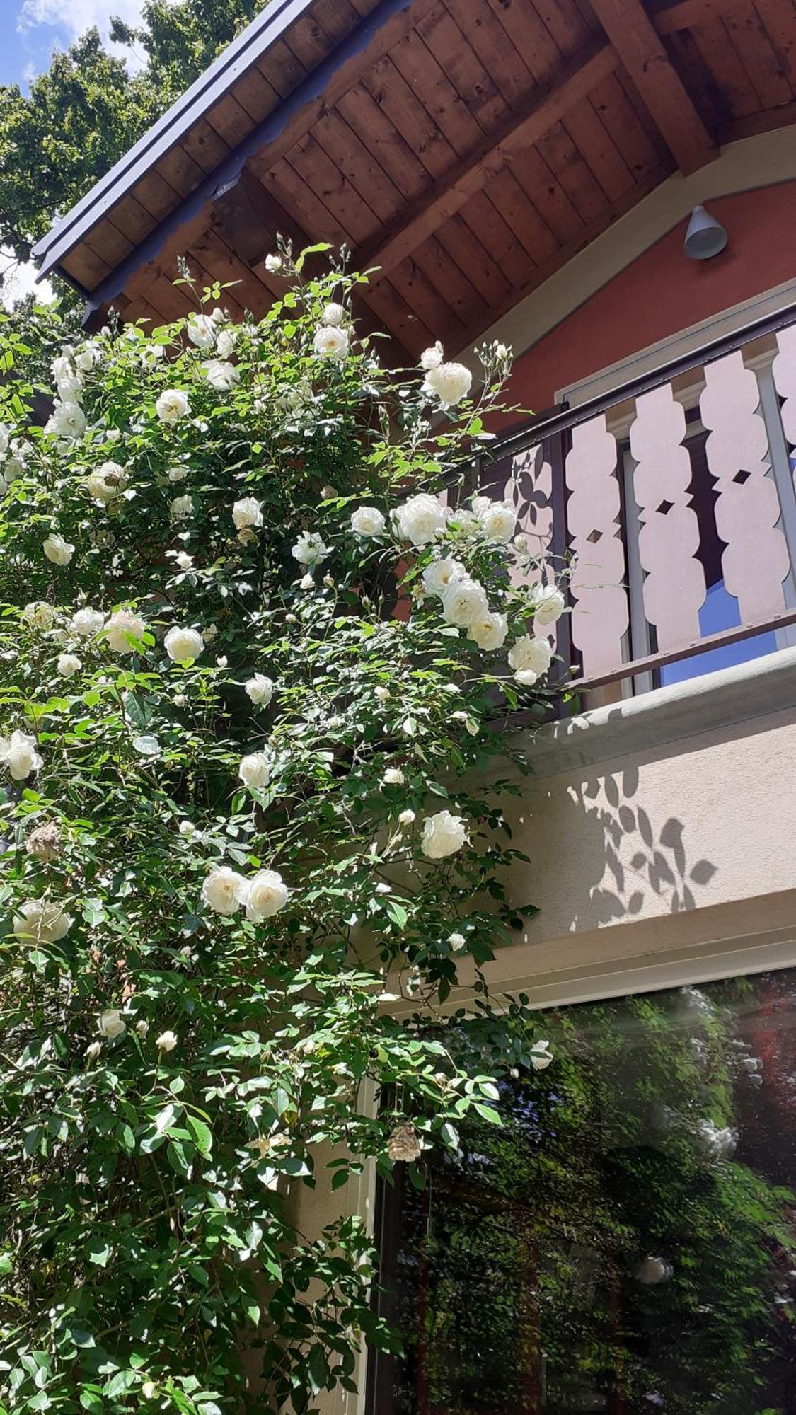 Casetta Camilla Varese Exterior photo